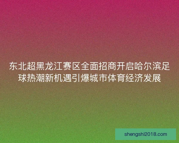 东北超黑龙江赛区全面招商开启哈尔滨足球热潮新机遇引爆城市体育经济发展 东北超黑龙江赛区全面招商开启哈尔滨足球热潮新机遇引爆城市体育经济发展