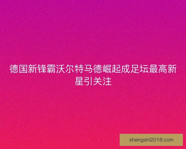 德国新锋霸沃尔特马德崛起成足坛最高新星引关注