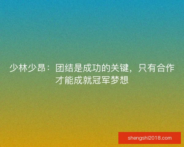 少林少昂：团结是成功的关键，只有合作才能成就冠军梦想